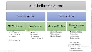 PARASYMPATHOLYTICSAnticholinergicsAntimuscarinic drugs [upl. by Nolyarb]