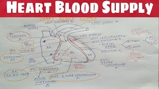 Heart Blood Supply 1  Right Coronary Artery  TCML  Dr Pawan nagar [upl. by Warila]