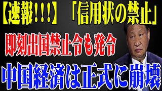 【衝撃発表】中国経済が正式に崩壊！信用状禁止で大混乱！出国禁止令も発令され、習近平政権の終焉が近い！【専門家の分析】 [upl. by Tailor]