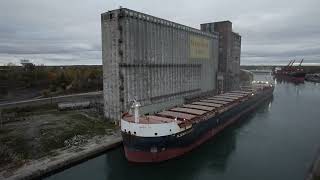 Algoma Equinox at LAC Port Colborne [upl. by Nireves204]