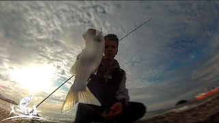 Levrek Avı  Sea Bass Spinning Fishing Marmara [upl. by Llertrac326]