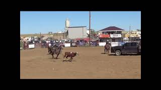 Ranch Rodeo 2024 Trailer Loading [upl. by Teuton]