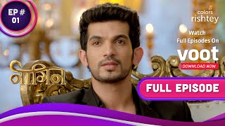 Naagin S1  नागिन S1  Ep 1  A Mysterious Woman Haunts Ritik [upl. by Morena149]