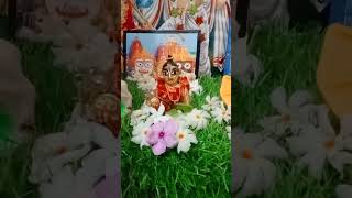 Yasada ka nandlala❤️joygopal❤️ harekrishna gopalthakur youtubeshorts gopal viralshort shorts [upl. by Anitreb]