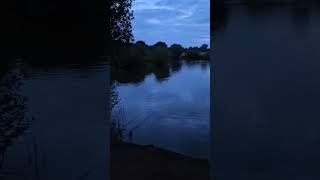 Morning from Broome Pits carpworld fishing carp carpfishing fish angling river carplife [upl. by Nylirehs]