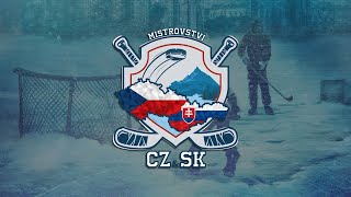 🔴LIVE Majstrovstvá Česka a Slovenska v rybníkovom hokeji 2024  Mestský Park [upl. by Ayim]