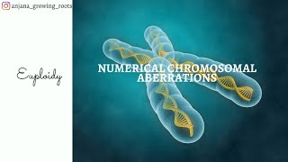 Numerical Aberrations Of Chromosome  Malayalam  EUPLOIDY  Monoploidy  Diploidy  Polyploidy [upl. by Virnelli]