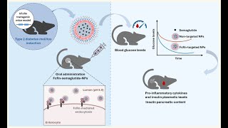 PLGAPEGMaleimide and PEGPLGA used in development of nanoparticles for semaglutide delivery [upl. by Carlson813]