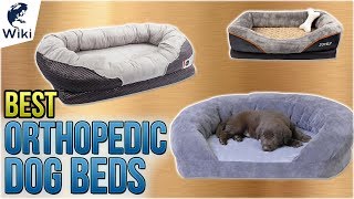 10 Best Orthopedic Dog Beds 2018 [upl. by Zurc]