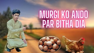 Murgi ko ando par bitha diya [upl. by Edras]