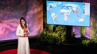 The Blind Spots of the Green Energy Transition  Olivia Lazard  TED [upl. by Yellah]