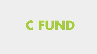 Your TSP Investment Options The C Fund [upl. by Yesnikcm]