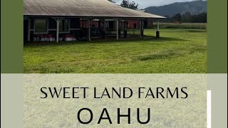 Sweetland Farms Oahu [upl. by Adoree]