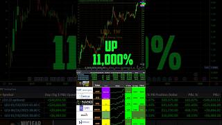 Top 5 Stocks 2025 up 1000 [upl. by Dillie]