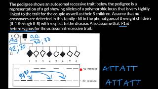 How to Solve Pedigree Problems [upl. by Pierette]