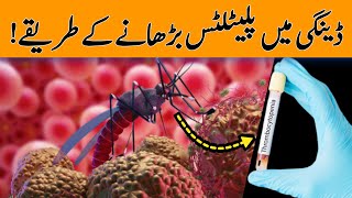 Platelet Count Kaise Badhaye  Platelet Count Reduction In Dengue amp Its Treatment  Dr YK [upl. by Mohammed]