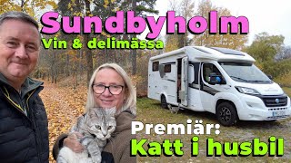 VIN DELIKATESSER OCH KATTMYS [upl. by Dnomed]