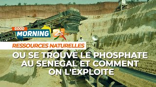 🛑GOODMORNING OU SE TROUVE LE PHOSPHATE AU SENEGAL ET COMMENT ON LEXPLOITE [upl. by Eikciv]