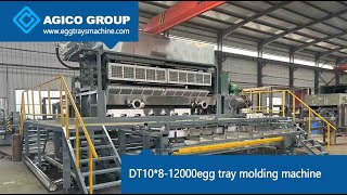 DT 10812000egg tray molding machine EggTrayMachine [upl. by Enrak]