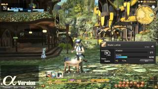 FINAL FANTASY XIV A Realm Reborn  Quests and Combat Alpha [upl. by Dnalyaw]