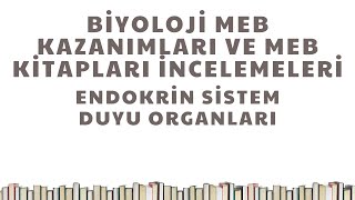 YKS MEB Kazanımları İncelemesi  Endokrin SistemDuyu Organları [upl. by Lledrev]