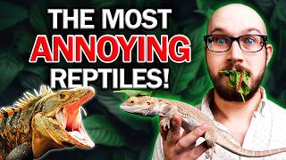 The WORST Kind of Reptiles [upl. by Gibert]