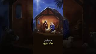 🥰Christmas song WhatsApp status Lyrics  Jesus Songs  jesus christiansongs shorts [upl. by Irrok302]