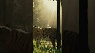 Corbett National Park की रोचक बातें facts travel [upl. by Veleda]