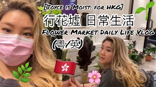 Joyce is Moist for HKG 行花墟 日常生活 Vlog Flower Market Daily Life Vlog 粵英） [upl. by Tonjes]