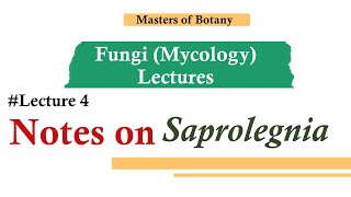 Lecture 4  Saprolegnia  Fungi Mycology Lecture  Notes [upl. by Nauwtna]