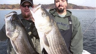 North Carolina coast Outer Banks Striped Bass fishing [upl. by Anole]