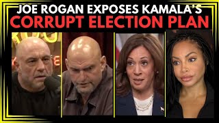 Swing Voters BLOW UP on Kamala with BOMBSHELL [upl. by Oinotnaocram459]