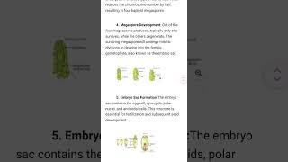 sexualreproductioninfloweringplantsclass12 megasporogenesis viralvideo studymotivation student [upl. by Caryn]