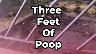 THREE FEET OF POOP [upl. by Benge106]