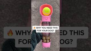 The Ultimate Pet Water Bottle 4in1 portable dog water bottle animallover gadgets shorts [upl. by Beeson]