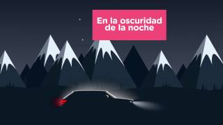 Mirá qué tenés que tener en cuenta para conducir en bici de noche [upl. by Biernat]