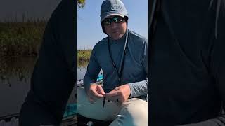 Unlock the Secrets of Bass Fishing Techniques 🎣 [upl. by Tatiania]