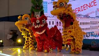 Barongsai 2024 KONG HA HONG Di acara ICE BSD Tangerang [upl. by Abdulla]