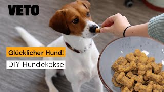 Dein Hund wird es lieben – Hundekekse selber machen [upl. by Anomas]