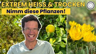 GEHÖLZE amp PFLANZEN für richtig HEISSE Standorte 🌿 🔥 [upl. by Kilah]