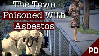 Toxic Air The Libby Montana Asbestos Disaster  Short Documentary  Plainly Difficult [upl. by Johnsten]