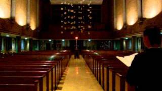 Silent Night Holy Night Traditional Peaceful Catholic Christmas Hymn Song [upl. by Suciram]