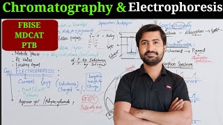 Chromatography and Gel Electrophoresis Biology class 11 chapter 1 The cell [upl. by Ruhtracm773]