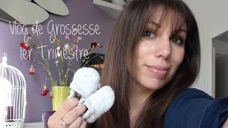 Vlog 1er Trimestre de Grossesse [upl. by Agnesse14]