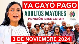 💥SE ADELANTA ADULTOS MAYORES HOY DOMINGAZO 3 DE NOVIEMBRE LETRA Y FECHA DEL DEPOSITO💥 [upl. by Arekahs369]