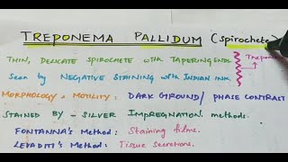 Treponema pallidum  Microbiology  Handwritten notes [upl. by Subak]