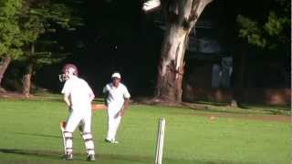 Howzat Cricket [upl. by Nottus]