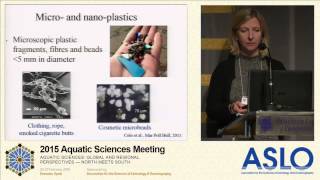 2015 ASLO Plenary Tamara Galloway on Microplastic Debris [upl. by Anitsirk]