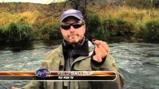 STEELHEAD FISHING DESCHUTES WITH KELLY GALLOUP [upl. by Acissey]