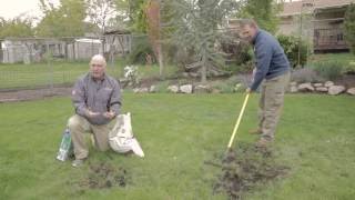 How to Reseed a Lawn [upl. by Nosmoht]